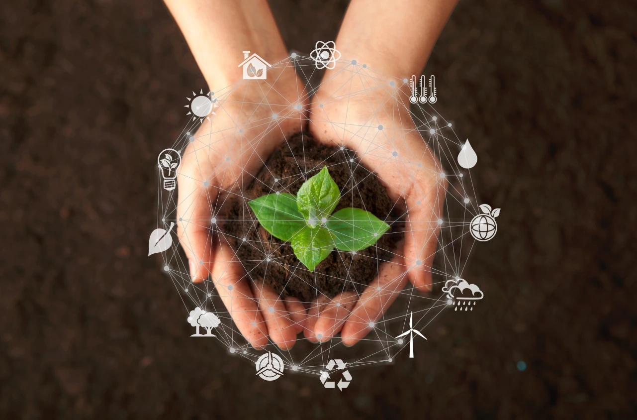 CSR initiatives and impact